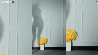 ���ិចស៊ីស្រមោល