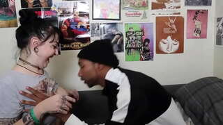 Zorra blanca de tomar la bbc